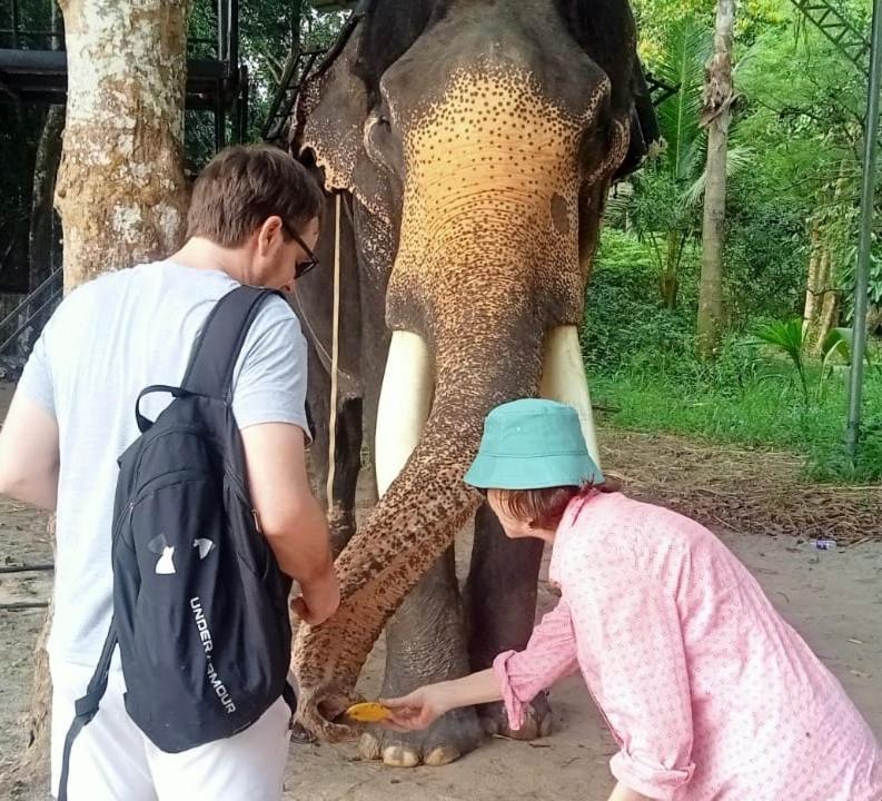 Marari Eclipse Homestays Alappuzha Buitenkant foto